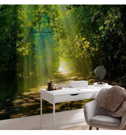 Fotobehang - Road in Sunlight