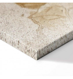 Taulu - Passing Moments (1 Part) Wide