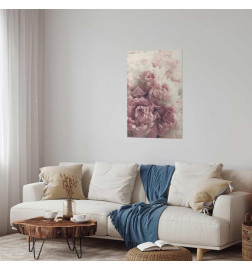 Plakat - Delicate Peonies