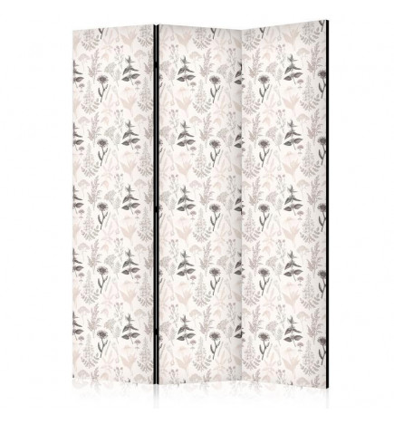 Paravento - Botanical Illustration - Drawing of Flowers and Herbs - Beige Grays