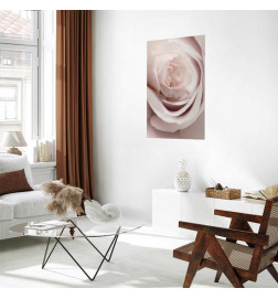 Plakat - Porcelain Rose