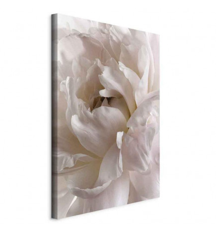 Canvas Print - Fluffy Distraction (1 Part) Vertical