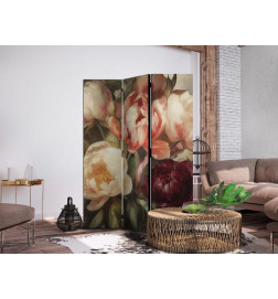 Pertvara - Blooming Peonies - Charismatic Flowers Bathed in Sunlight