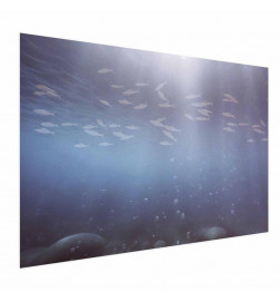 Plakatas - Fish in the Depths