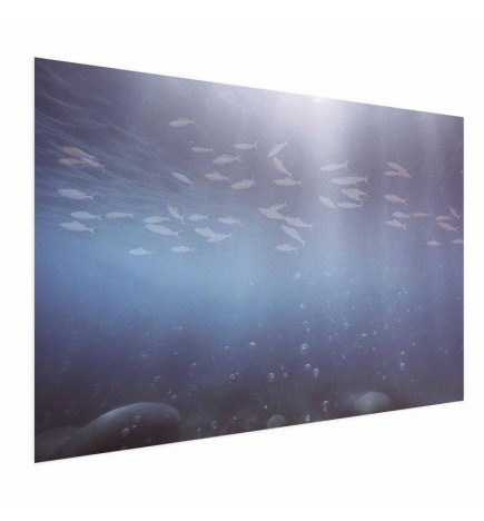 Juliste - Fish in the Depths