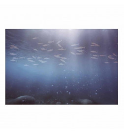 Poster - Fish in the Depths