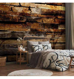 Wall Mural - Reflection of Nature