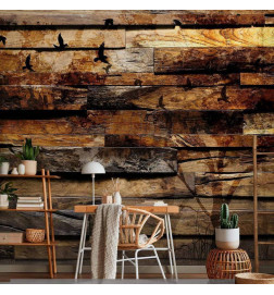 Wall Mural - Reflection of Nature