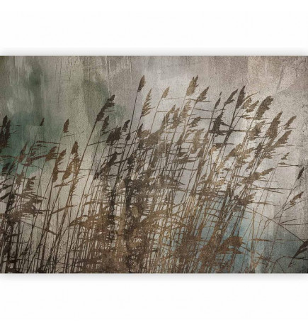 Fototapetti - Water Grasses