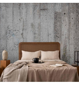 Mural de parede - Grey Emperor