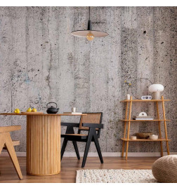 Fototapetas - Grey Emperor