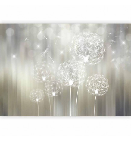 Carta da parati - Gift of the Sun