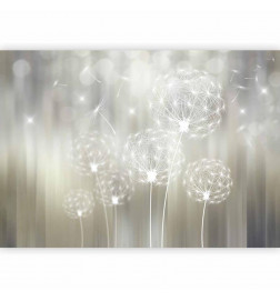 Wall Mural - Gift of the Sun