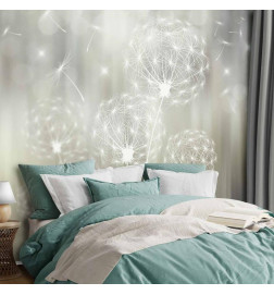 Wall Mural - Gift of the Sun