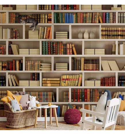 Fototapet - Home library