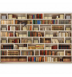 Fototapeta - Home library