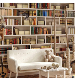 Mural de parede - Home library