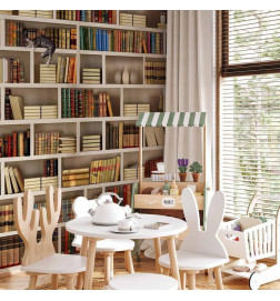 Fototapeta - Home library