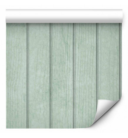 Wallpaper - Delicate Wood - Vertical stripes in a pastel green shade