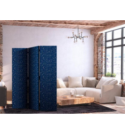 Paravento - Cosmic Inspirations - Pattern with Stars and Constellations on a Dark Background