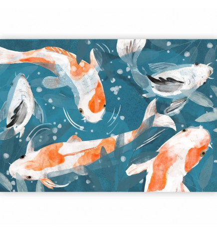 Fototapeta - Koi Fishes - Second Variant