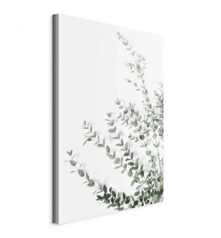 Quadro - Eucalyptus Parvifolia (1 Part) Vertical