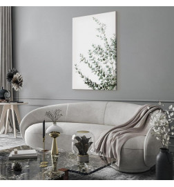 Quadro - Eucalyptus Parvifolia (1 Part) Vertical