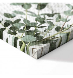 Tablou - Eucalyptus Parvifolia (1 Part) Vertical