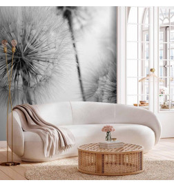 Fotobehang - Time for Dandelions - Second Variant