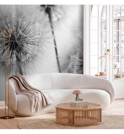 Fotobehang - Time for Dandelions - Second Variant