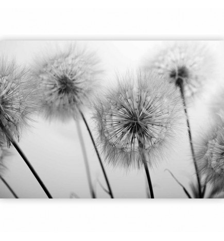 Papier peint - Time for Dandelions - Second Variant