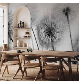 Mural de parede - Time for Dandelions - Second Variant