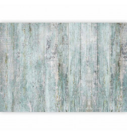 Fotomural - Rustic Textures - First Variant