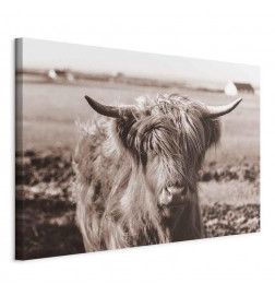 Tableau - A Scottish Cow in Sepia
