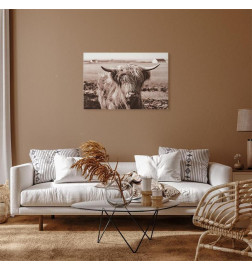 Tableau - A Scottish Cow in Sepia