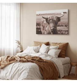 Leinwandbild - A Scottish Cow in Sepia