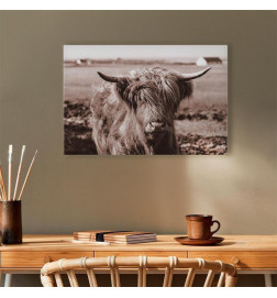 Tablou - A Scottish Cow in Sepia