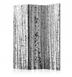 124,00 € 3-teiliges Paravent - Birch forest [Room Dividers]