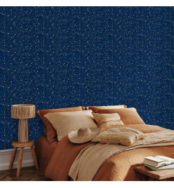 Tapisserie murale - Cosmic Inspirations - Pattern with Stars and Constellations on a Dark Background