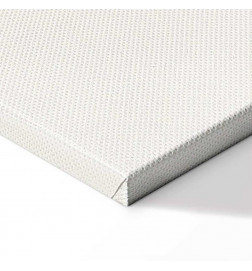 Taulu - Colorful Rings - Digital Graphics - Minimalism