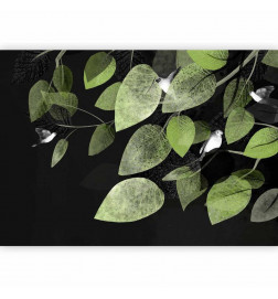 Wall Mural - Bird Holidays - Third Variant