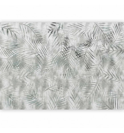Fototapeta - Minimalist landscape - nature motif with grey exotic leaves