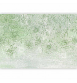 Wall Mural - Flowery meadow - nature with field flowers lineart on green background