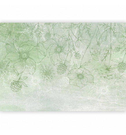 Papier peint - Flowery meadow - nature with field flowers lineart on green background