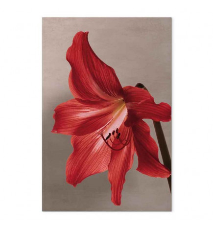 Leinwandbild - Red Flower (1 Part) Vertical