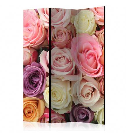 124,00 € Biombo - Pastel roses [Room Dividers]