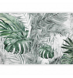 Fototapeet - Dense Jungle