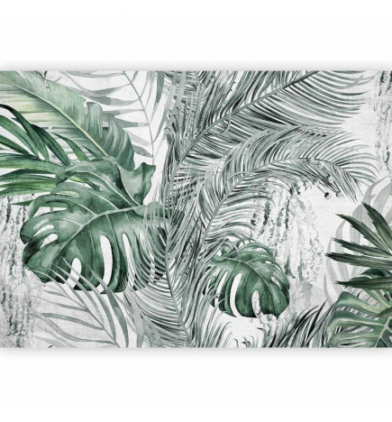 Fototapeet - Dense Jungle