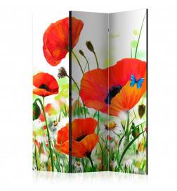 3-teiliges Paravent - Country poppies [Room Dividers]