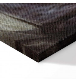 Paveikslas - Diego Velázquez – The Rokeby Venus